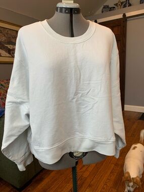 FLX  MINT COLOR Oversized Crewneck Sweatshirt XXL